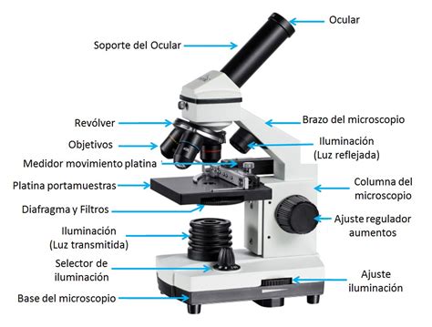 El Microscopio Y Sus Partes Image