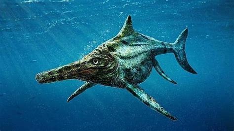 El misterio del ictiosaurio: parecido a los delfines pero ...