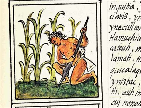El mito azteca que narra la historia de la llegada del maíz