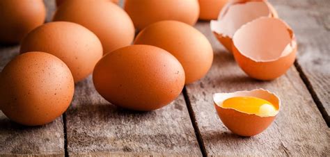 El mito del huevo y el colesterol: ¿verdad o mentira? | Chef Oropeza