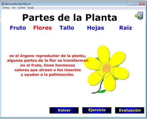 El Mundo de las Plantas: Partes