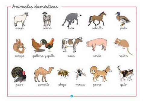 El Mundo de los Animales en Ingles  : Que linda manera de ...