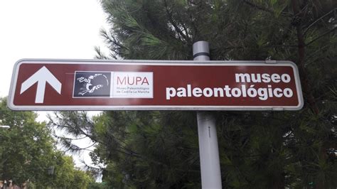 El MUPA, Museo de Paleontología de Castilla La Mancha ...