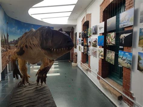 El Museo de Dinosaurios de Salas de los Infantes   Camping Cañón del ...