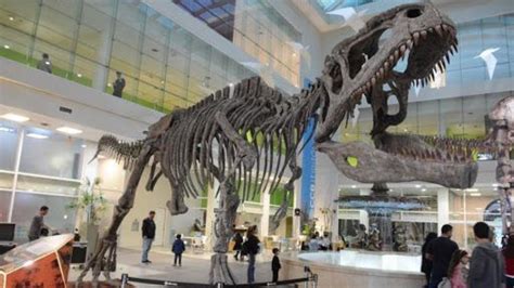El museo de los dinosaurios en Trelew reabre sus puertas luego de siete ...