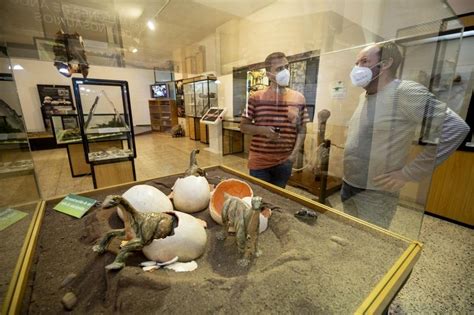 El Museo de los Dinosaurios refuerza su presencia online | Noticias ...