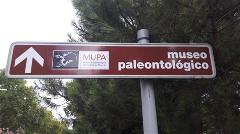 El Museo de Paleontología de Castilla La Mancha, renueva ...