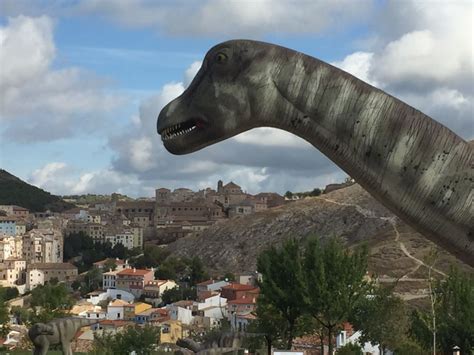 El Museo de Paleontología espera llegar este año a los 80 ...