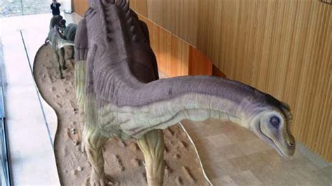 El Museo de Paleontología  Tierra de Dinosaurios  ha ...