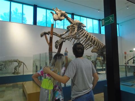 El Museo de Prehistoria de Valencia recibe la visita de los jóvenes ...