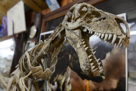 El Museo Paleontológico de Bariloche cierra y se va a España