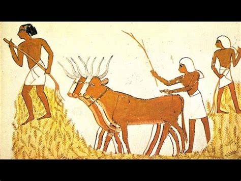 El nacimiento de la agricultura y ganadería y su influencia en la ...