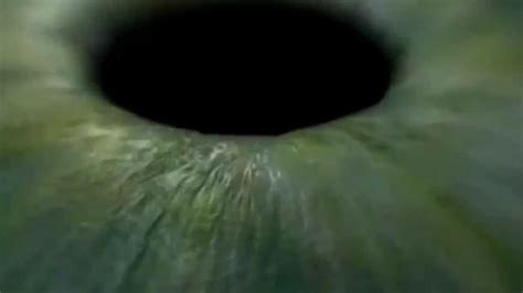El Ojo Humano, visto desde 5 perspectivas   YouTube