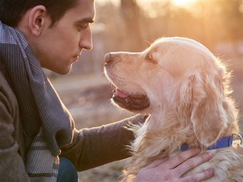 El origen de la amistad entre perros y humanos