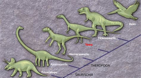 El origen de los dinosaurios se sitúa en Suramérica ...