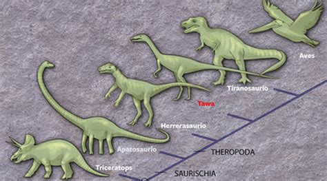 El origen de los dinosaurios se sitúa en Suramérica | Sociedad | EL PAÍS
