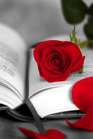 El origen de regalar una rosa y un libro el día de Sant ...