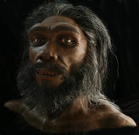 El origen del ser humano: Homo neanderthalensis