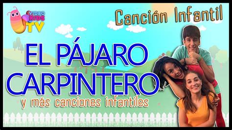 EL PÁJARO CARPINTERO  Y MÁS CANCIONES PARA NIÑOS   YouTube