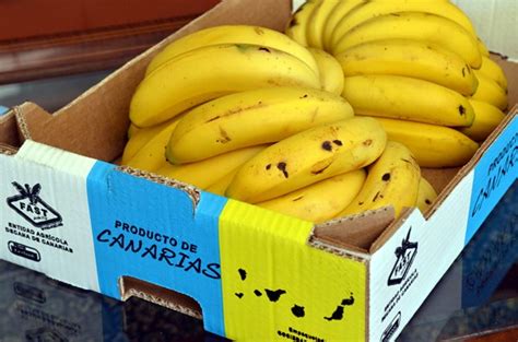 El plátano de Canarias desembarca por primera vez en Reino ...