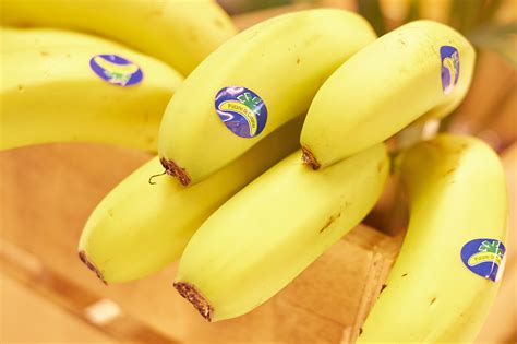 El plátano de Canarias, objetivo de la competencia de ...
