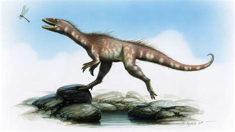 El primer dinosaurio carnívoro de Gales era un primo del ...