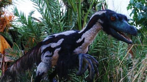 El primer dinosaurio clonado   YouTube