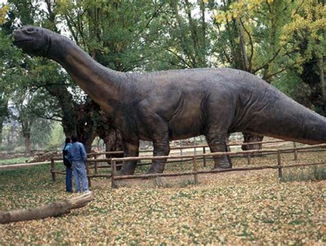 El primer dinosaurio descubierto en España  rejuvenece ...