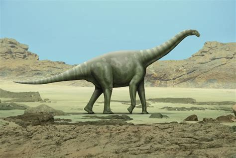 El primer dinosaurio encontrado en España es más joven de ...