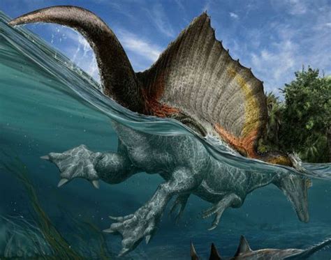 El primer dinosaurio nadador | Dinosaurios acuaticos, Fósiles de ...
