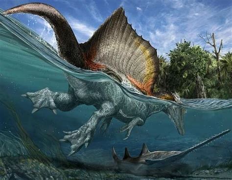 El primer dinosaurio semiacuático, descubierto en Marruecos