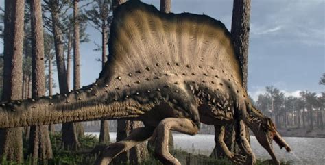 El primer dinosaurio semiacuático   National Geographic en ...