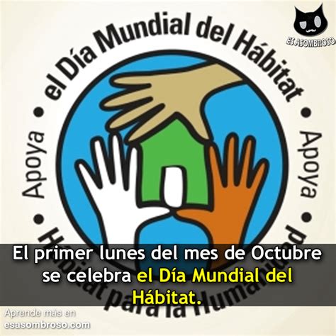 El primer lunes de Octubre se celebra el día mundial del hábitat   Es ...
