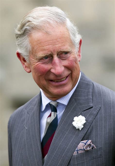 El príncipe Carlos llega a la edad de la jubilación sin trono ...
