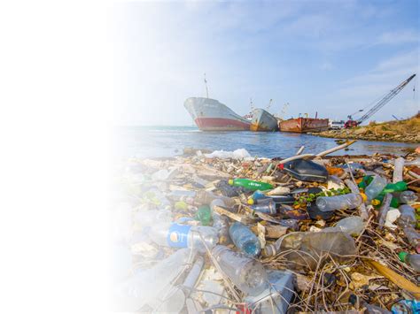 El problema de la contaminación hídrica   ECOLOGÍA