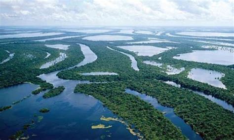 El Río Amazonas   Info   Taringa!
