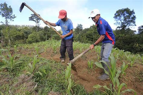 El Salvador se alista para iniciar el Plan de Rescate Agropecuario ...