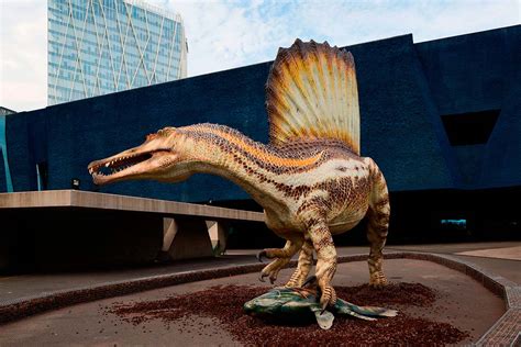 El Spinosaurus, el dinosaurio carnívoro más grande del ...