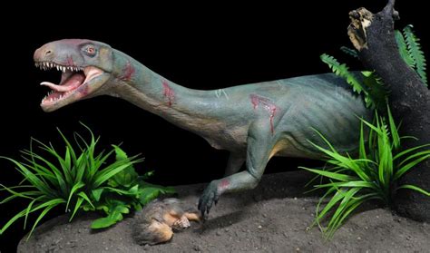 El ‘primo’ de los dinosaurios era como un cocodrilo de más ...