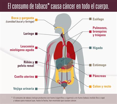 El tabaco y el cáncer | CDC