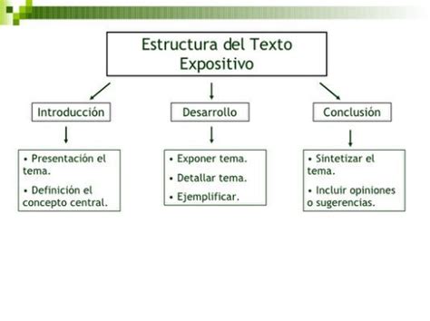 El Texto Expositivo | Estructura del texto, Textos ...