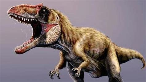 El Tiranosaurio rex hacía puré a sus víctimas: su mordisco, como ser ...
