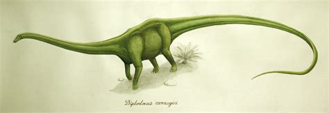 El título provisional: Nuevo diplodocus