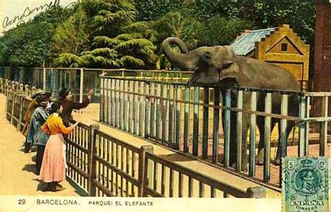 El Tranvía 48: A los 125 años del Zoo de Barcelona: una ...