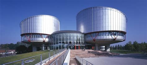 El Tribunal Europeo de Derechos Humanos  V : el futuro del ...