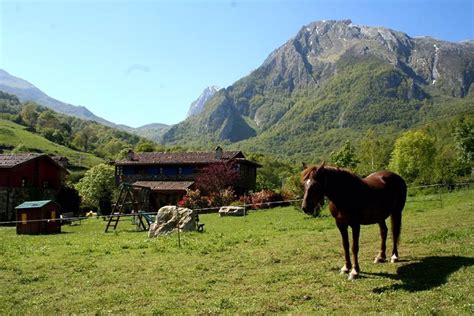 El turismo rural alcanza el 31% de ocupación en Asturias para el puente ...