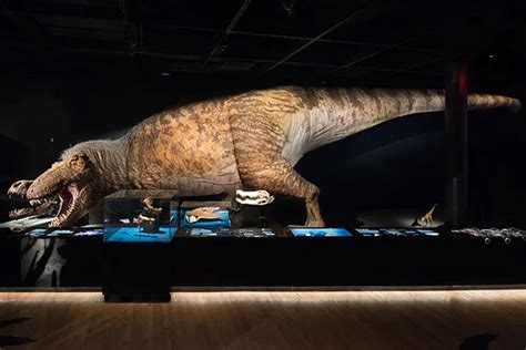El Tyrannosaurus Rex bebé como nunca lo vimos