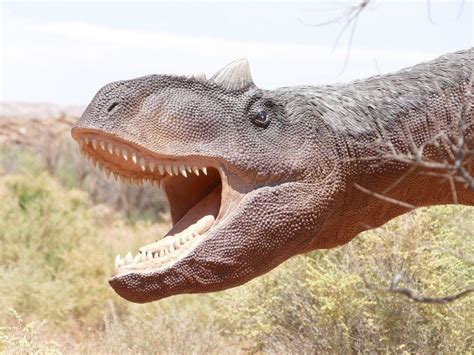 El último banquete de un dinosaurio de 1.300 kilos, al ...