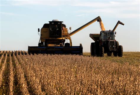 El USDA estimó una menor cosecha de soja en Estados Unidos   Carve850 ...