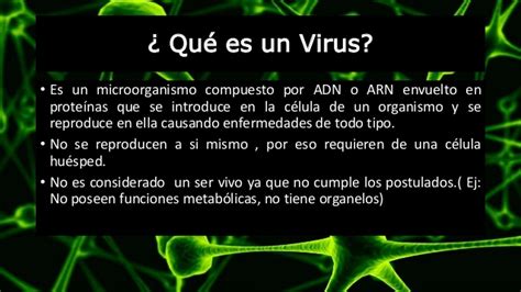 El virus del Dengue